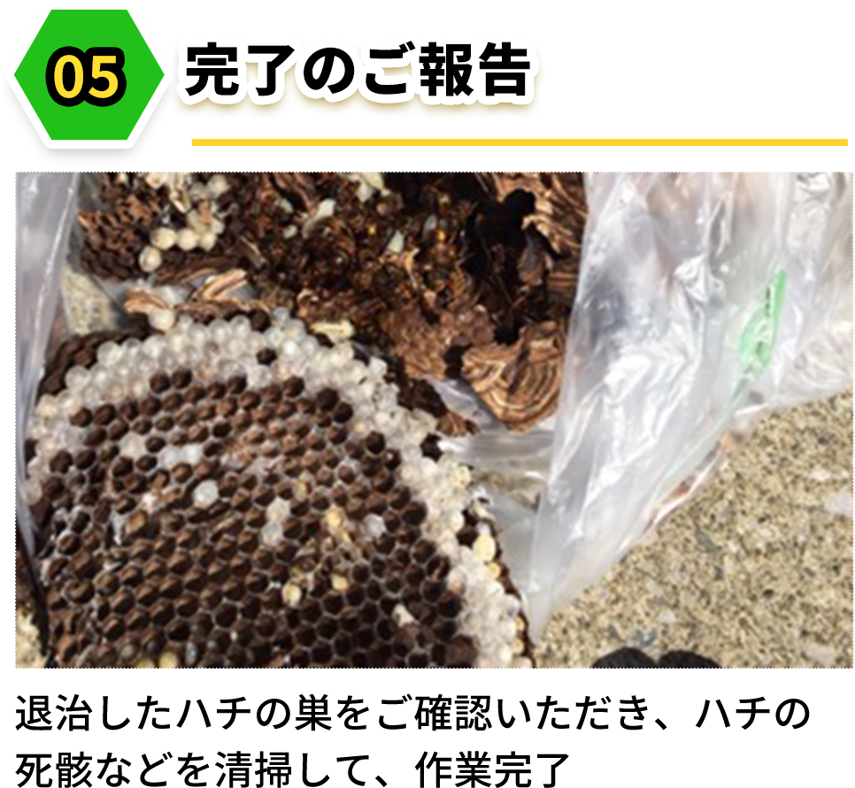完了のご報告